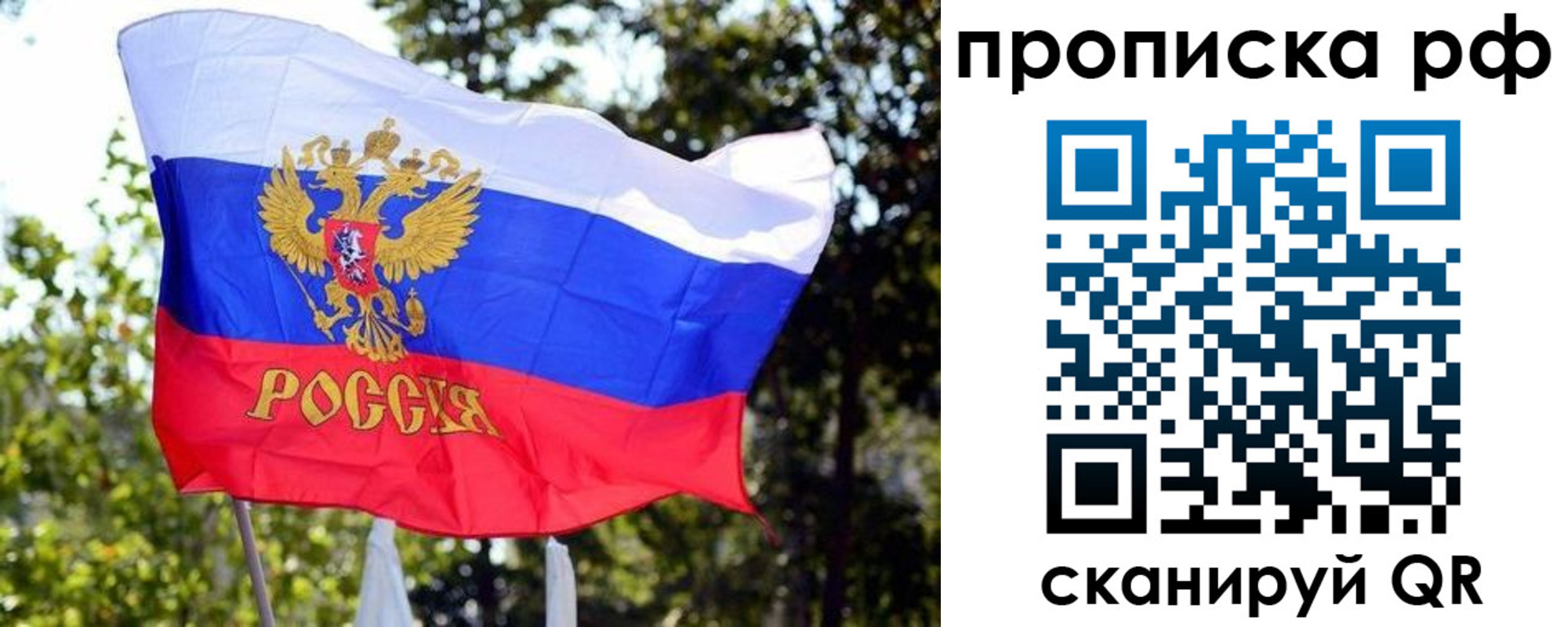 временная регистрация надежно в Лодейном Поле